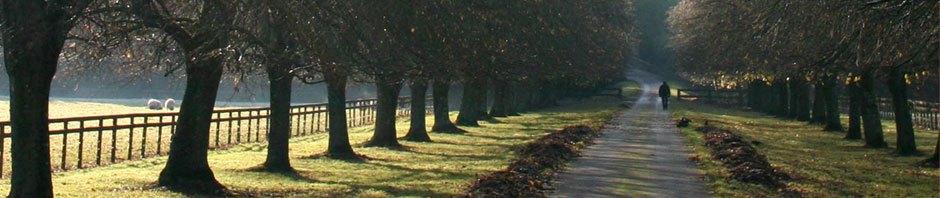 The Holland ARC website has moved to www.k8daa.org